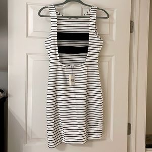 BB Dakota Dress Black and White Striped NWT